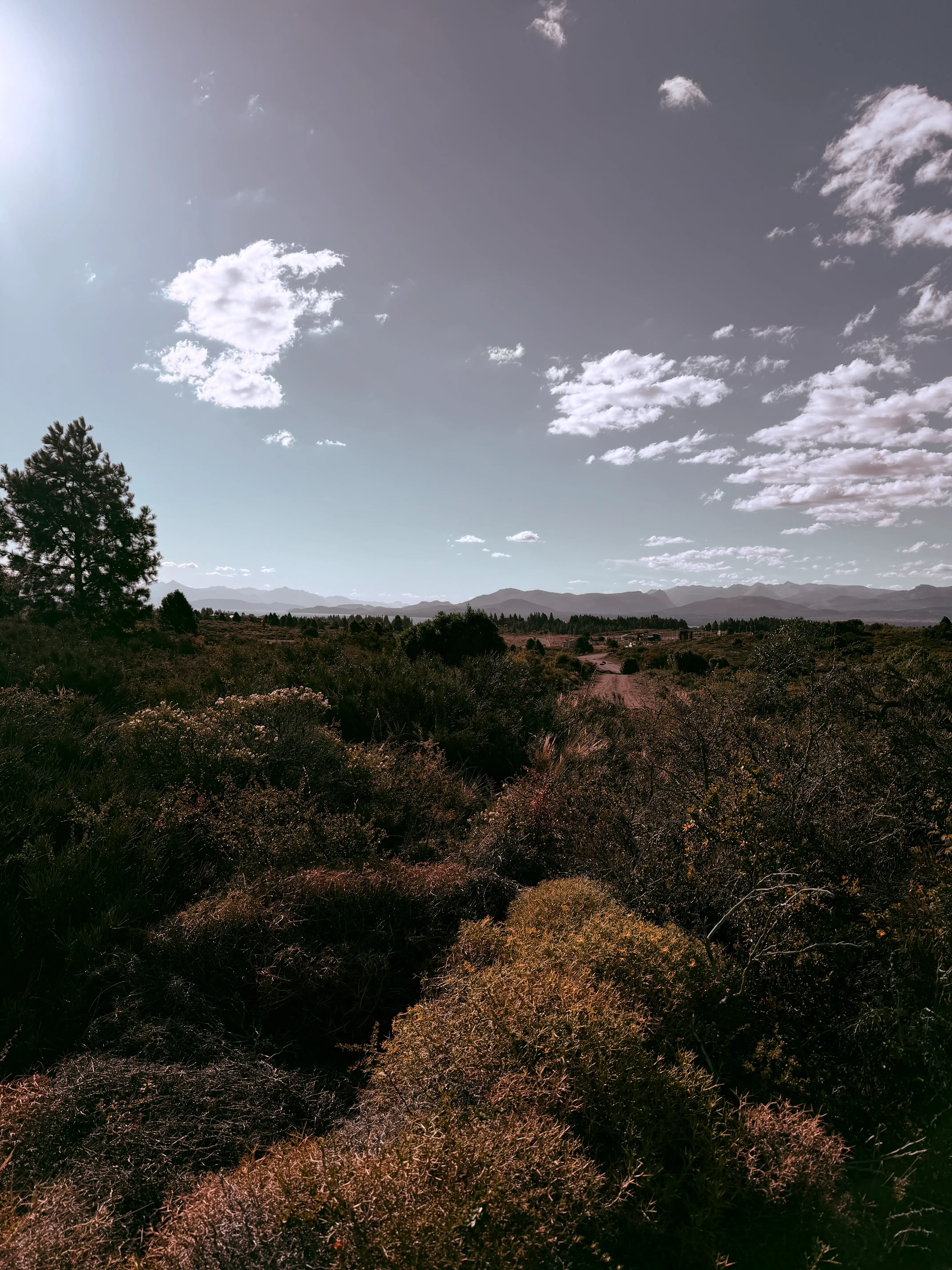 Project image